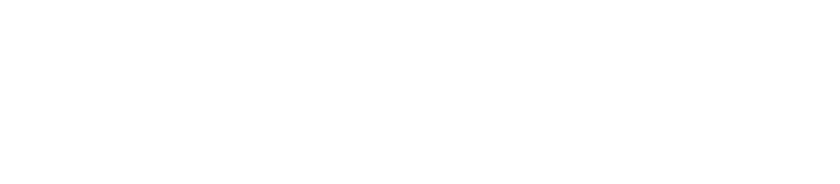 The Pridham Group Website Hosting Logo